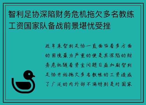 智利足协深陷财务危机拖欠多名教练工资国家队备战前景堪忧受挫